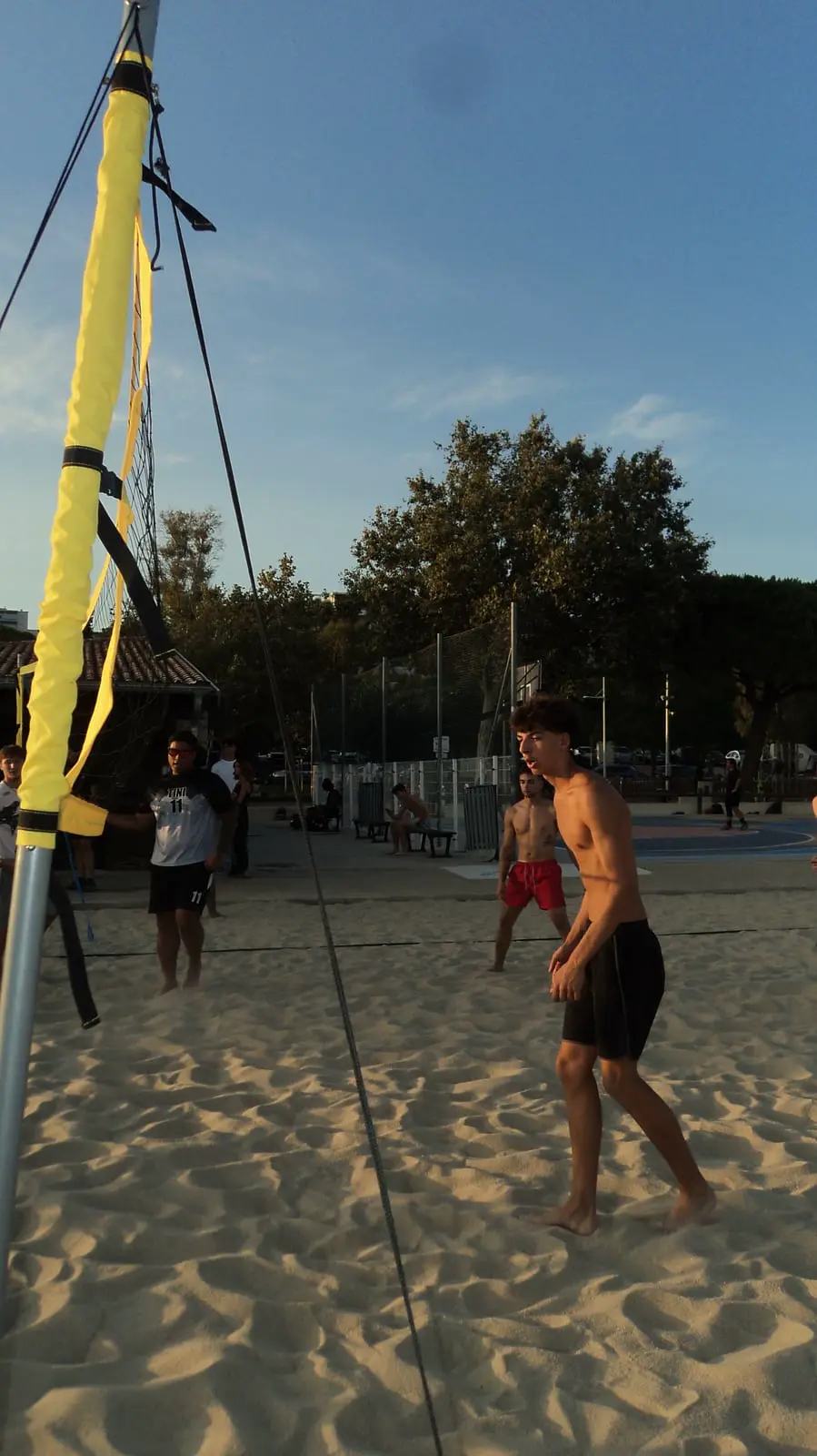 Un joueur du Mourillon Volley sur le terrain de sable, filet et pinède en fond